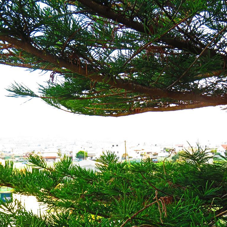 Kokkini Hani Frosso'S Apartments מראה חיצוני תמונה